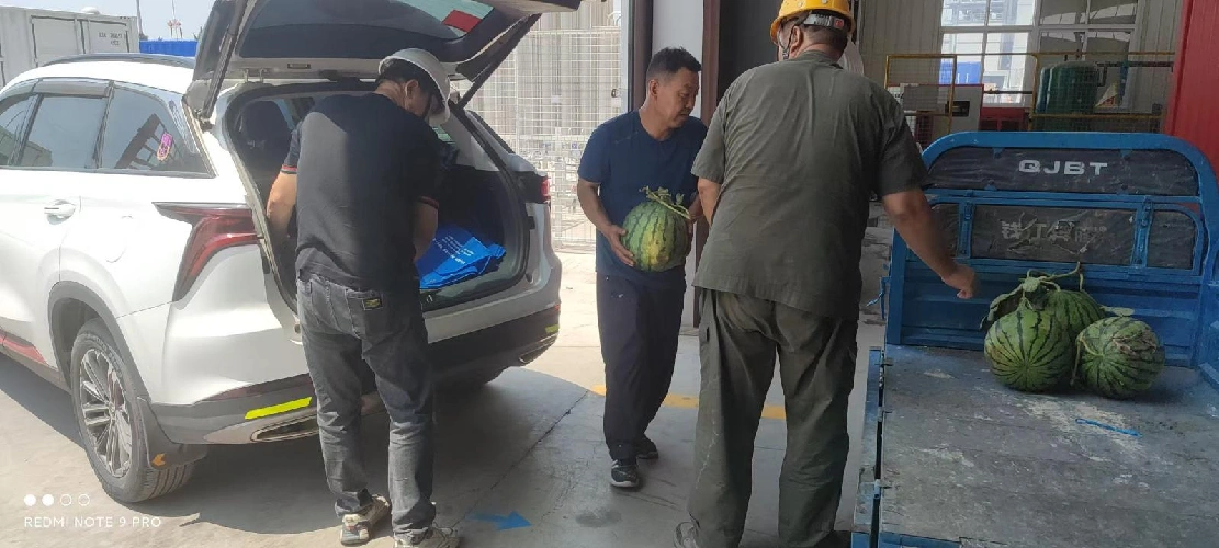 వేసవిలో చల్లదనాన్ని పంపడం, విపరీతమైన వేడిని ఎదుర్కోవటానికి ప్రయత్నాలను ఏకం చేస్తుంది